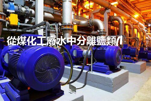 從煤化工廢水中分離鹽類(lèi)，解析工藝及應(yīng)用